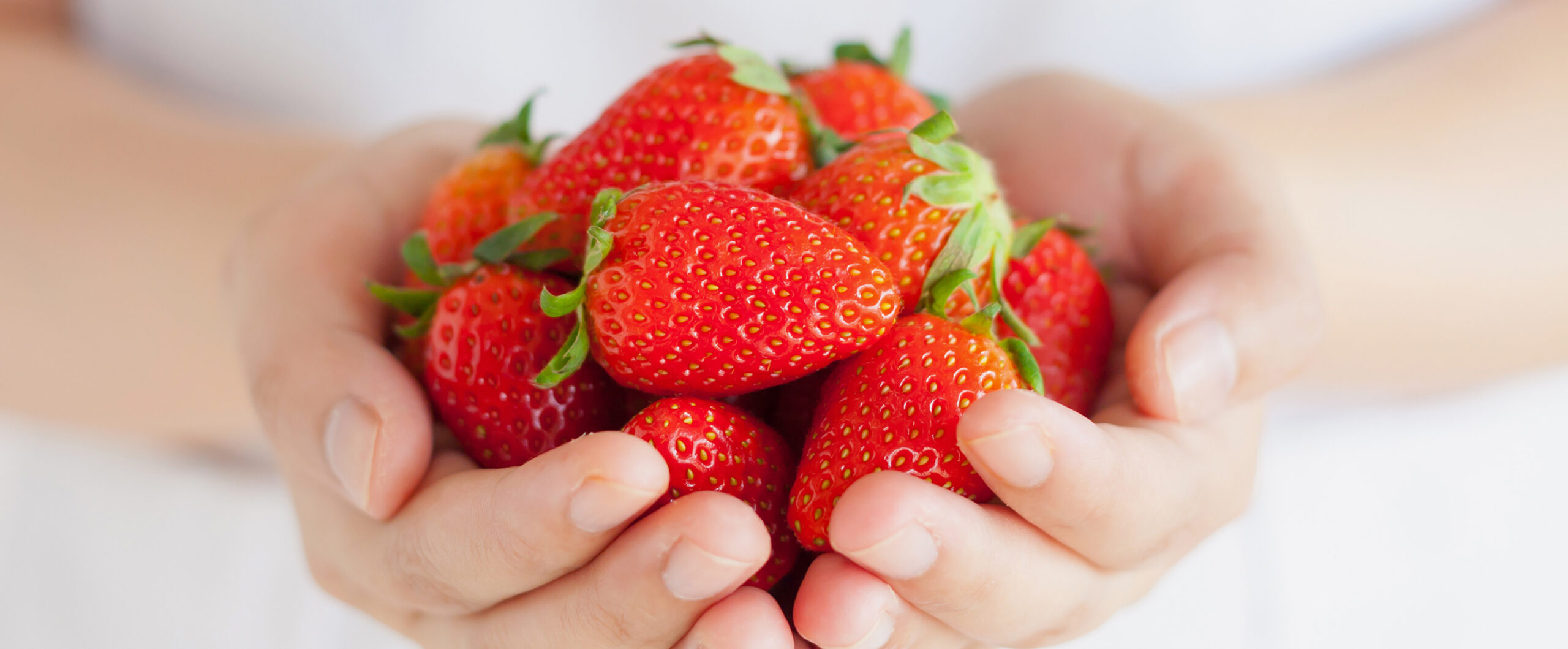 美味しいいちご