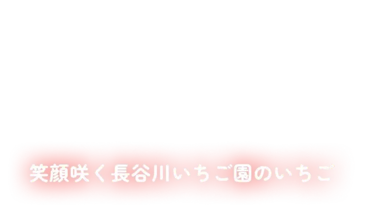 笑顔咲く長谷川いちご園のいちご