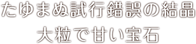 長谷川いちご園